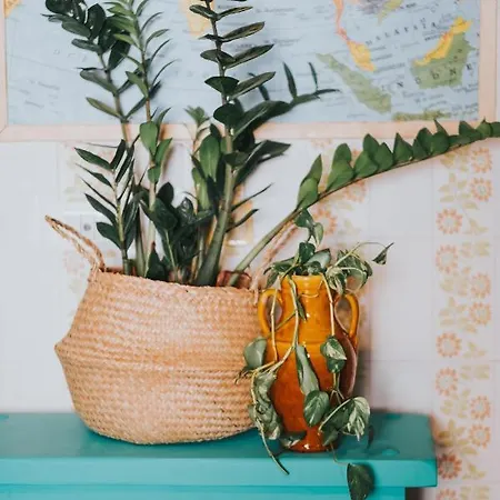 Habari We Dorm Vandrerhjem Bari