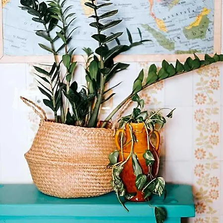 Habari We Dorm Bari