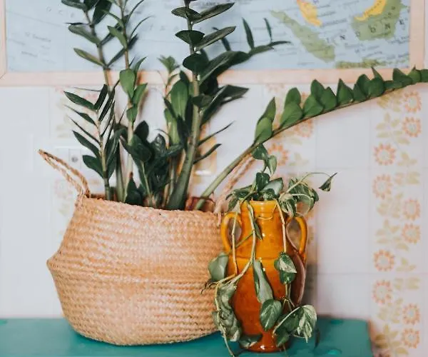 Habari We Dorm Vandrarhem Bari